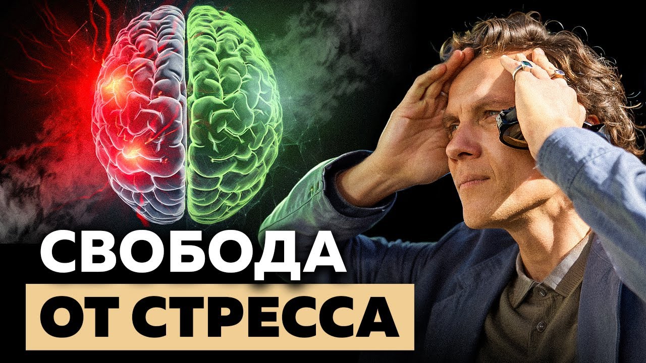 Видеоразбор «Начни делать ЭТО, если хочешь справиться со стрессом» — Александр Волчек